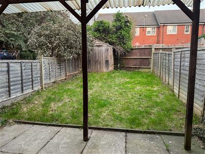 Picture 15